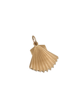 Load image into Gallery viewer, Aphrodite&#39;s Shell | Olympus Vol. 4
