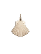 Load image into Gallery viewer, Aphrodite&#39;s Shell | Olympus Vol. 4
